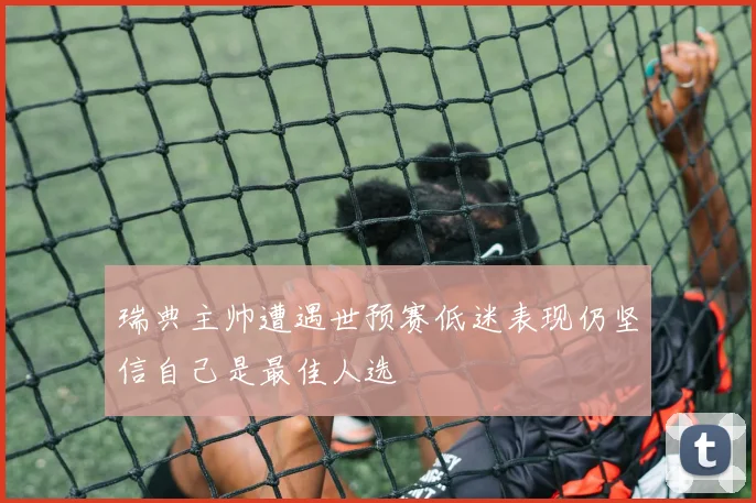 瑞典主帅遭遇世预赛低迷表现仍坚信自己是最佳人选